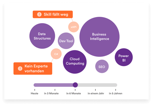 Skill Forecast DE-p-500